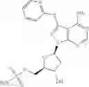 Fig. 216 - ATG7 inhibitors and the uses thereof