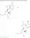 Fig. 255 - ATG7 inhibitors and the uses thereof