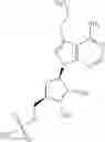Fig. 41 - ATG7 inhibitors and the uses thereof