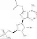 Fig. 49 - ATG7 inhibitors and the uses thereof