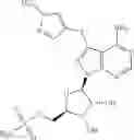 Fig. 83 - ATG7 inhibitors and the uses thereof
