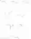 Fig. 11 - Steroid derivative FXR agonist