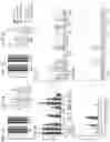 Fig. 07 - Multivalent HIV vaccine boost compositions and methods of use