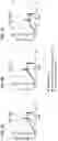 Fig. 10 - Multivalent HIV vaccine boost compositions and methods of use