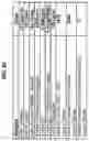 Fig. 27 - Separation of VWF and VWF propeptide by chromatographic methods