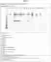 Fig. 28 - Separation of VWF and VWF propeptide by chromatographic methods