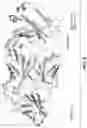 Fig. 07 - ANTI-PD1 ANTIBODIES AND METHODS OF USE