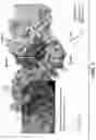 Fig. 08 - ANTI-PD1 ANTIBODIES AND METHODS OF USE