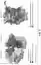 Fig. 09 - ANTI-PD1 ANTIBODIES AND METHODS OF USE