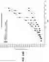 Fig. 16 - ANTI-PD1 ANTIBODIES AND METHODS OF USE