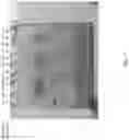 Fig. 08 - Methods and compositions for inhibiting ADAM 9 biological activities