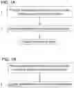 Fig. 02 - High-throughput single-cell sequencing with reduced amplification bias