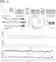 Fig. 04 - High-throughput single-cell sequencing with reduced amplification bias
