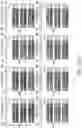 Fig. 331 - NOVEL CRISPR ENZYMES AND SYSTEMS