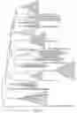 Fig. 07 - NOVEL CRISPR ENZYMES AND SYSTEMS
