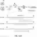 Fig. 321 - NOVEL CRISPR ENZYMES AND SYSTEMS