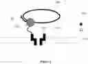 Fig. 06 - NUCLEIC ACID SEQUENCING USING TAGS