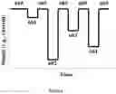 Fig. 09 - NUCLEIC ACID SEQUENCING USING TAGS