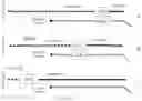 Fig. 08 - MEASURES OF SHORT TELOMERE ABUNDANCE