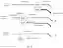 Fig. 09 - MEASURES OF SHORT TELOMERE ABUNDANCE