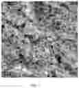 Fig. 02 - HEAT TREATMENT METHOD FOR ACCELERATING PRECIPITATION OF NANOSCALE CARBIDES IN W-CONTAINING ALLOY STEEL