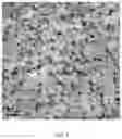 Fig. 03 - HEAT TREATMENT METHOD FOR ACCELERATING PRECIPITATION OF NANOSCALE CARBIDES IN W-CONTAINING ALLOY STEEL