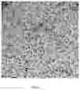 Fig. 04 - HEAT TREATMENT METHOD FOR ACCELERATING PRECIPITATION OF NANOSCALE CARBIDES IN W-CONTAINING ALLOY STEEL
