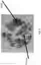 Fig. 07 - METHOD AND APPARATUS FOR REMOVING PAINT ON METALLIC COMPONENTS