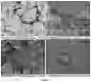 Fig. 02 - MINERAL PRECIPITATION METHODS