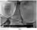 Fig. 08 - MINERAL PRECIPITATION METHODS