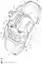 Fig. 09 - DISC BRAKE PAD AND DISC BRAKE DEVICE
