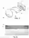 Fig. 02 - Automotive lighting device