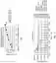 Fig. 02 - MODULATING BOILER SYSTEM