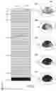 Fig. 06 - Embedded particle depth binning based on multiple scattering signals