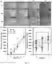 Fig. 09 - Graphene-based electro-microfluidic devices and methods for protein structural analysis