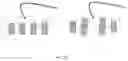 Fig. 08 - Apparatus and system for spectroscopy and tomography of fragile biologic materials