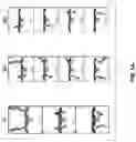 Fig. 09 - Parallel DNA detection by solid-state multi-pore systems and associated methods