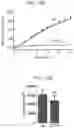 Fig. 43 - Identifying drug candidates for treating polycystic kidney disease using organoids generated from primary cells