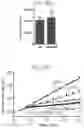 Fig. 45 - Identifying drug candidates for treating polycystic kidney disease using organoids generated from primary cells