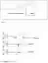 Fig. 02 - Functionalized eyewear device for detecting biomarker in tears