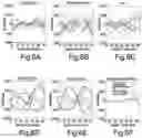 Fig. 07 - Classification method and device