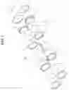 Fig. 02 - Distance vision-realizing eyeglasses for image display device