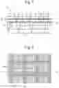 Fig. 04 - Display apparatus