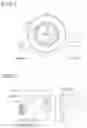 Fig. 02 - Electrostatic image developer