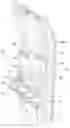 Fig. 01 - Interacting with game elements using eye movement tracking