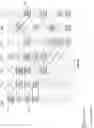 Fig. 08 - Distributed erasure coded virtual file system