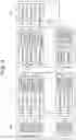 Fig. 05 - Determining biometric authentication bit string reliability