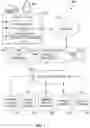 Fig. 08 - Social network navigation based on content relationships
