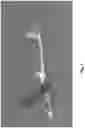 Fig. 08 - IMAGE PRE-PROCESSING FOR OBJECT RECOGNITION