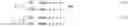 Fig. 08 - Image processing method and device